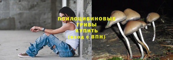 соль ск Алексеевка