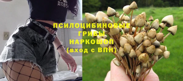 марки nbome Нязепетровск