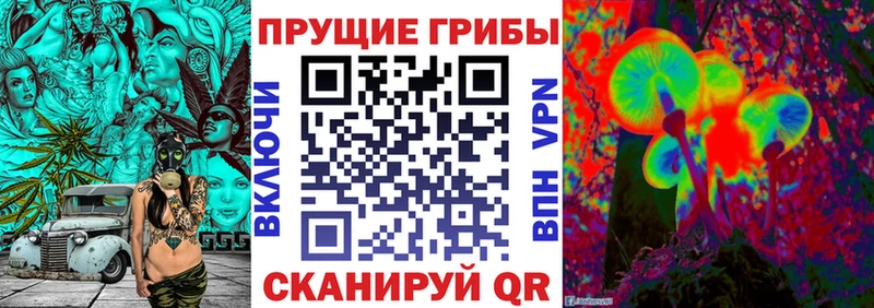 ОМГ ОМГ ТОР  Мыски  Псилоцибиновые грибы Psilocybine cubensis 